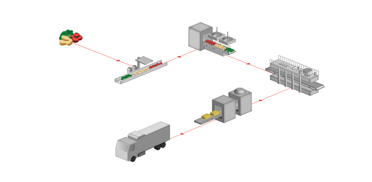 Vegetables and fruit processing